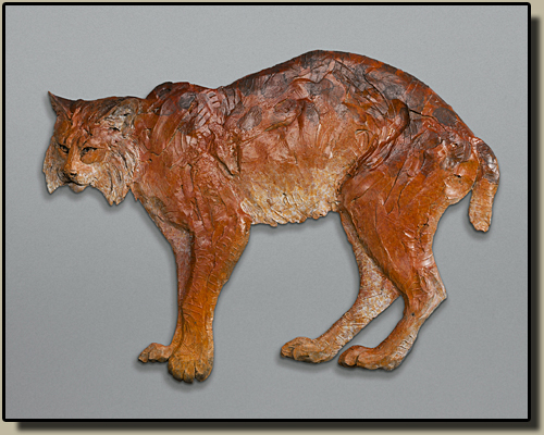 Bobcat relief