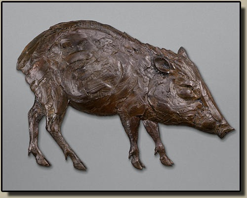 Peccary Relief