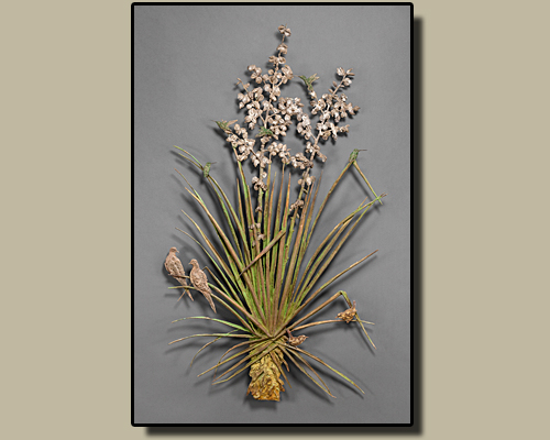 Yucca