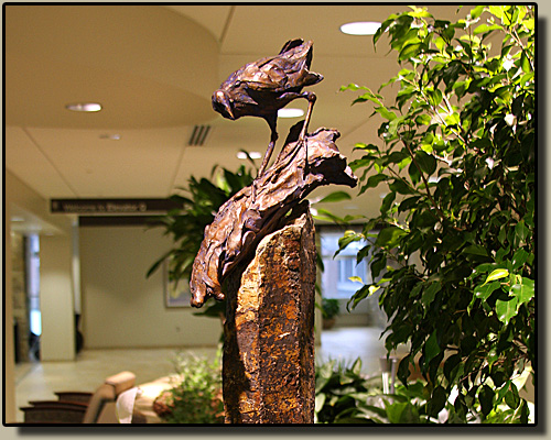 Lemmon-Holton Cancer Center, Gallinule