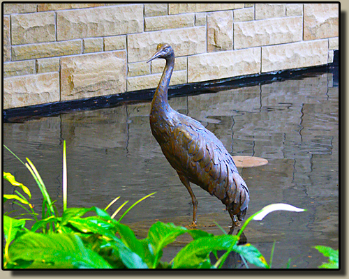 Lemmon-Holton Cancer Center Sandhill Crane