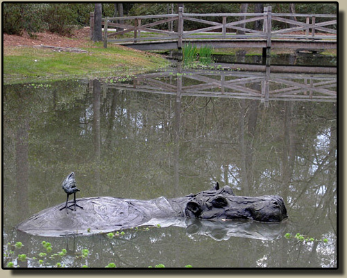 Free Ride at Shepard Park, Summerville SC